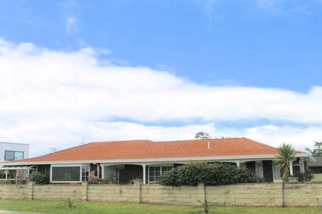Photo of property in 214 Grenada Street, Mount Maunganui, 3116