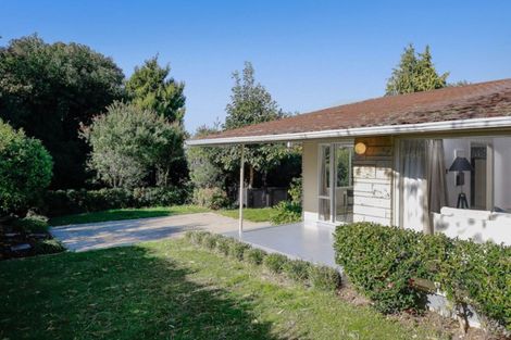 Photo of property in 119a Clarkin Road, Fairfield, Hamilton, 3214