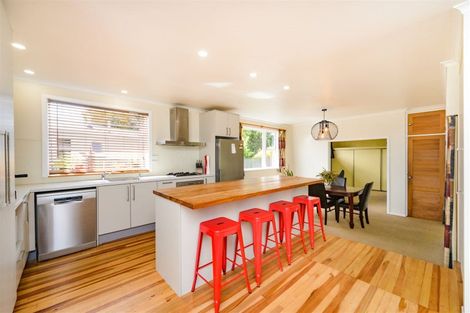 Photo of property in 30 Snowdon Avenue, Terrace End, Palmerston North, 4410