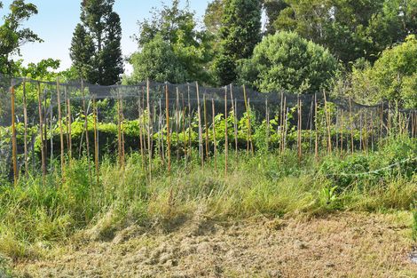 Photo of property in 165 Rahuikiri Road, Tomarata, Wellsford, 0972