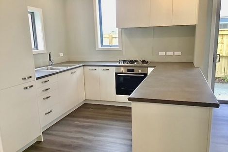 Photo of property in 13 Eruera Love Lane, Waterloo, Lower Hutt, 5011