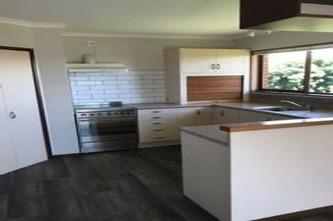 Photo of property in 61a Brookfield Terrace, Brookfield, Tauranga, 3110