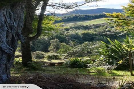 Photo of property in 350 Te Tahi Road, Puketotara, Te Awamutu, 3876