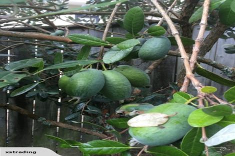 Photo of property in 26a Woodstock Road, Forrest Hill, Auckland, 0620