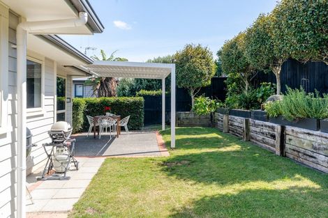 Photo of property in 18 Tironui Terrace, Western Heights, Hamilton, 3200