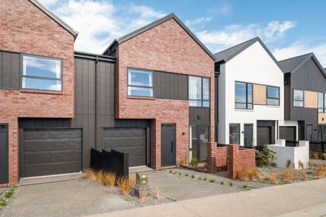 Photo of property in 53 Musselwhite Terrace, Chartwell, 3210