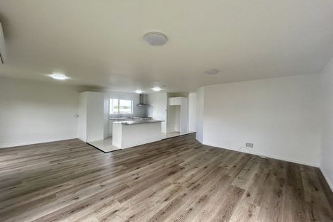 Photo of property in 49 Trimdon Street, Randwick Park, Auckland, 2105