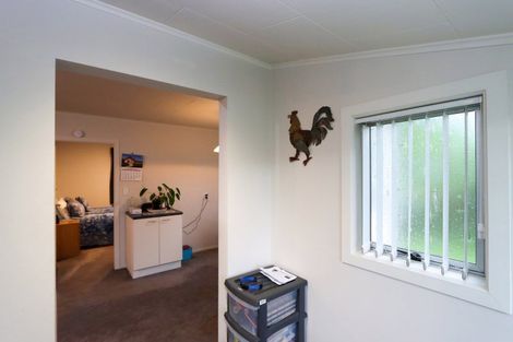 Photo of property in 3 Highfield Street, Waiau, 7332