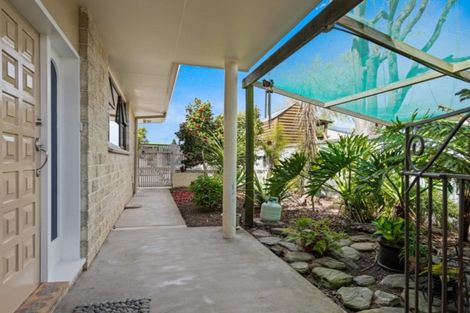 Photo of property in 41 Litchfield Street, Redwoodtown, Blenheim, 7201