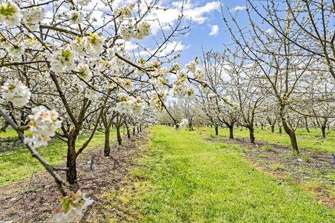 Photo of property in 1520 Tram Road, Swannanoa, Rangiora, 7475