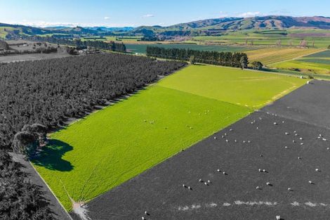 Photo of property in 156 Webbs Road, Amberley, 7481