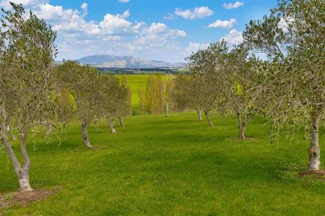 Photo of property in 329 Mackenzies Road, Waipara, Amberley, 7483