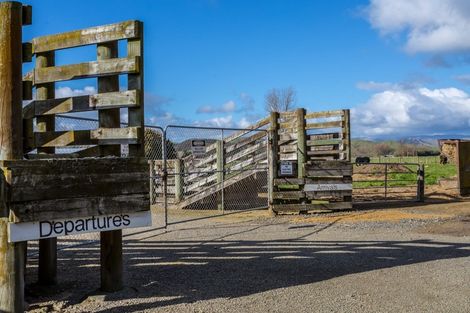 Photo of property in 80541 Masterton Road, Woodville, 4999