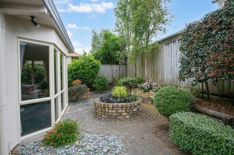 Photo of property in 6/17 Pope Terrace, Leamington, Cambridge, 3432