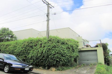 Photo of property in 20 Whaui Street, Vogeltown, Wellington, 6021