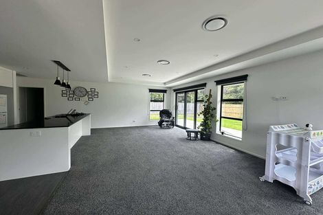 Photo of property in 24b Mckenzie Street, Levin, 5510