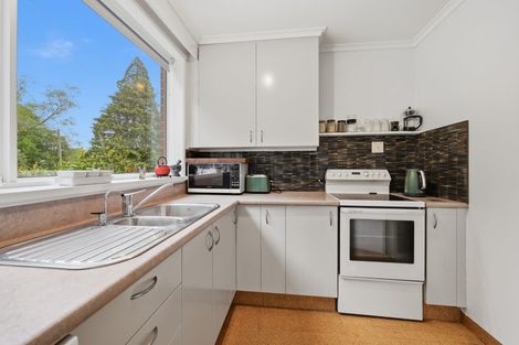 Photo of property in 39b Opoho Road, North East Valley, Dunedin, 9010