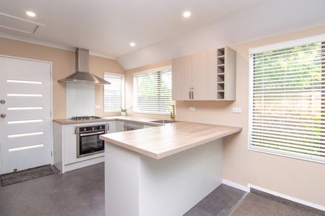 Photo of property in 136a Monrad Street, Highbury, Palmerston North, 4412