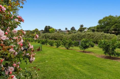 Photo of property in 225b Plummers Point Road, Whakamarama, Tauranga, 3172
