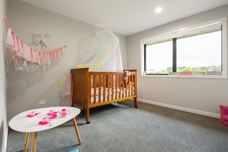 Photo of property in 197 Waingaro Road, Ngaruawahia, 3793