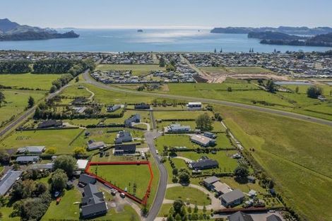 Photo of property in 8a Austin Drive, Whitianga, 3510