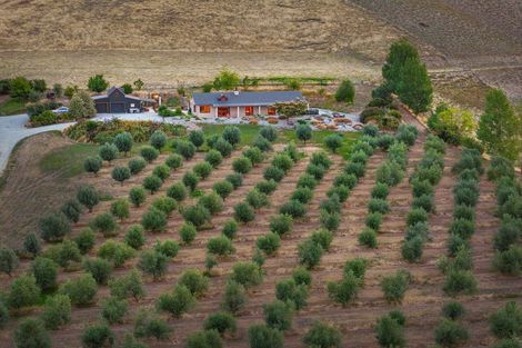 Photo of property in 58 Thomsons Gorge Road, Tarras, Cromwell, 9383