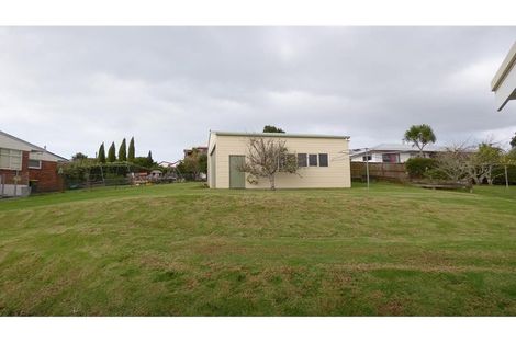 Photo of property in 24 Alton Avenue, Hillcrest, Auckland, 0627