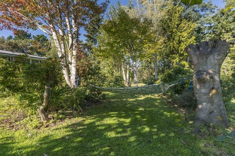 Photo of property in 22 Kilgour Street, Waihola, Milton, 9073