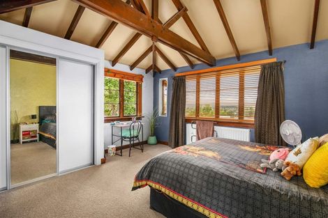 Photo of property in 11 Chapple Street, Alexandra, 9320