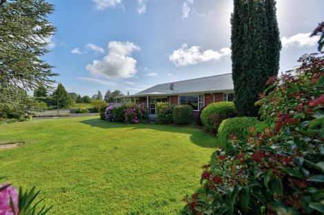 Photo of property in 79 Norton Street, Gore, 9710