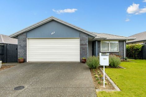 Photo of property in 101 Landing Drive, Pyes Pa, Tauranga, 3112