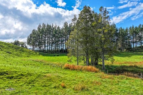 Photo of property in 17 Franklin Road, Waihi, 3682