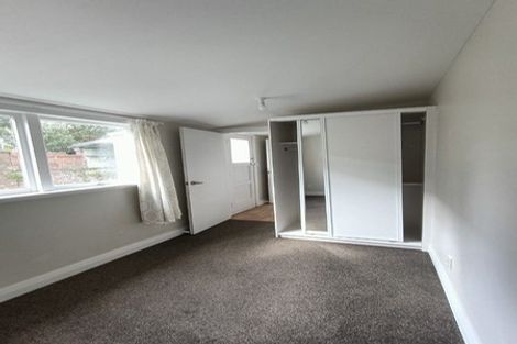 Photo of property in 117 Constable Street, Newtown, Wellington, 6021