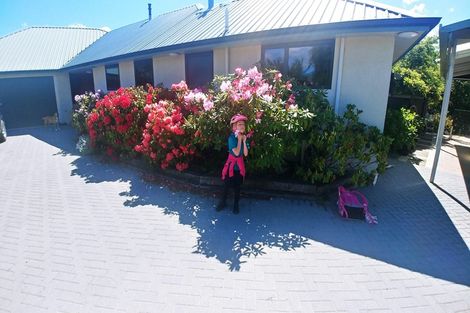 Photo of property in 172 Waenga Drive, Cromwell, 9310