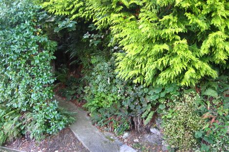 Photo of property in 93 Buccleugh Street, North East Valley, Dunedin, 9010