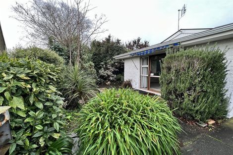 Photo of property in 28a Sails Street, Papanui, Christchurch, 8053