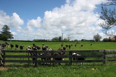 Photo of property in 595a Tauranga Road, Te Poi, Matamata, 3473