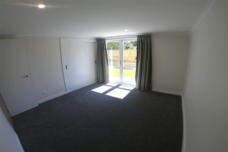 Photo of property in 161 Rimu Street, Maeroa, Hamilton, 3200