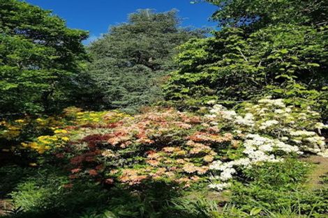 Photo of property in 38 Grammar Street, Kimbolton, 4777