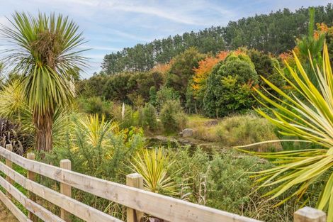 Photo of property in 5 Karamu Place, Waihi, 3682