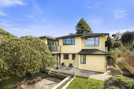 Photo of property in 27 Erin Street, Roslyn, Dunedin, 9010