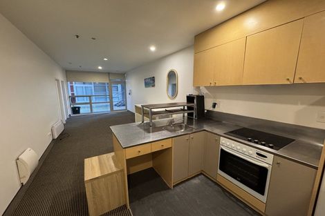 Photo of property in Hanson House, 1b/27 Hanson Street, Mount Cook, Wellington, 6021