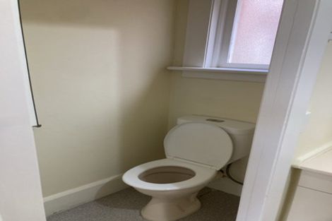 Photo of property in 34 Tweed Street, Roslyn, Dunedin, 9010