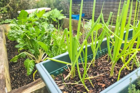 Photo of property in 21f Shepherd Road, Kerikeri, 0230