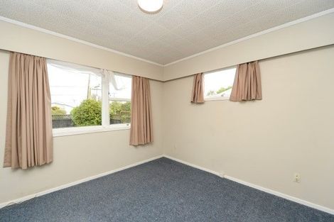 Photo of property in 141 Fitzroy Avenue, Fitzroy, Hamilton, 3206