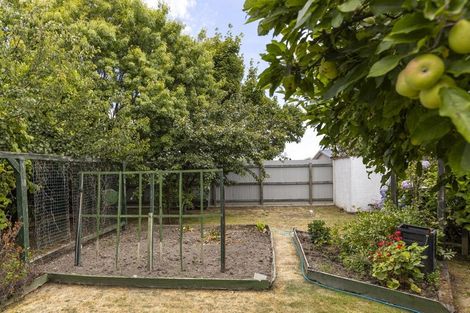 Photo of property in 67 New Renwick Road, Burleigh, Blenheim, 7201