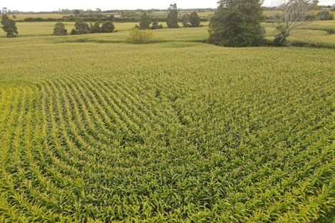 Photo of property in 1565 Tauwhare Road, Eureka, Hamilton, 3287