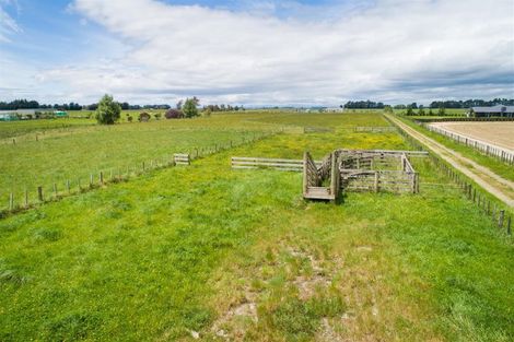 Photo of property in 81 Pukepapa Road, Marton, 4710