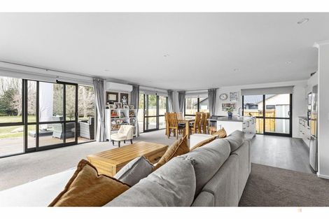 Photo of property in 17 Strawberry Place, Geraldine, 7930