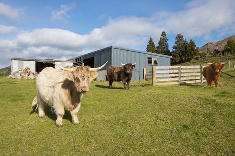 Photo of property in 413d Busby Road, Tahawai, Katikati, 3170